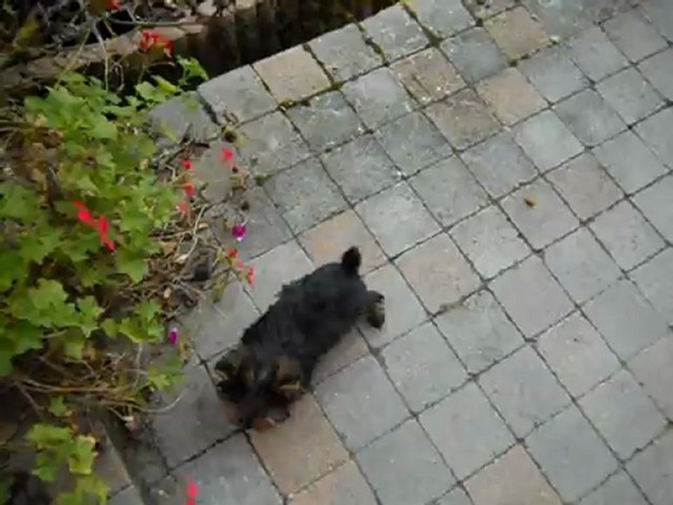 les bebes au jardin