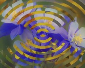 Doug Walker - Jesus Would