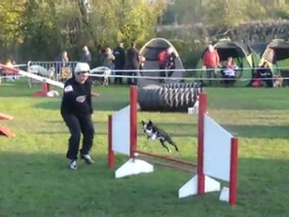 Concours Montigny octobre 2011 - Catégorie A