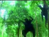 Thangamalai Thirudan fight 3