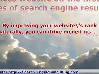 The Importance of Search Engine Optimization - Your Business Depends on It