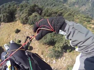 Aigle contre parapente