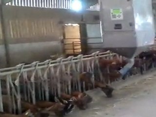 DISTRIBUTEUR DE MANGER  A  LA CHEVRIE /  Dirigée par Michel HURTEAU,  L'exploitation est installée près du village de Treize Vents..