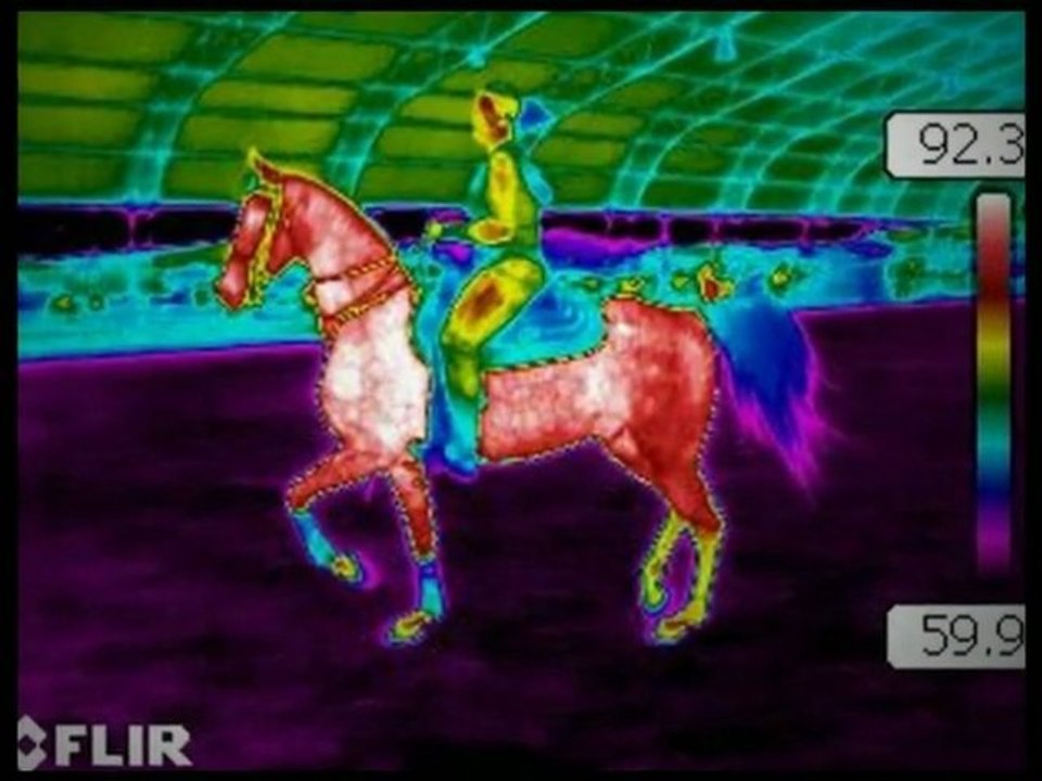 Equine Extravaganza Virginia - Meadow Event Park | Doswell