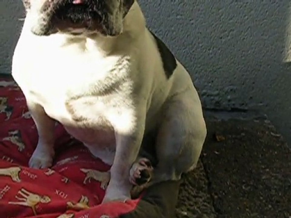 DSCN6132