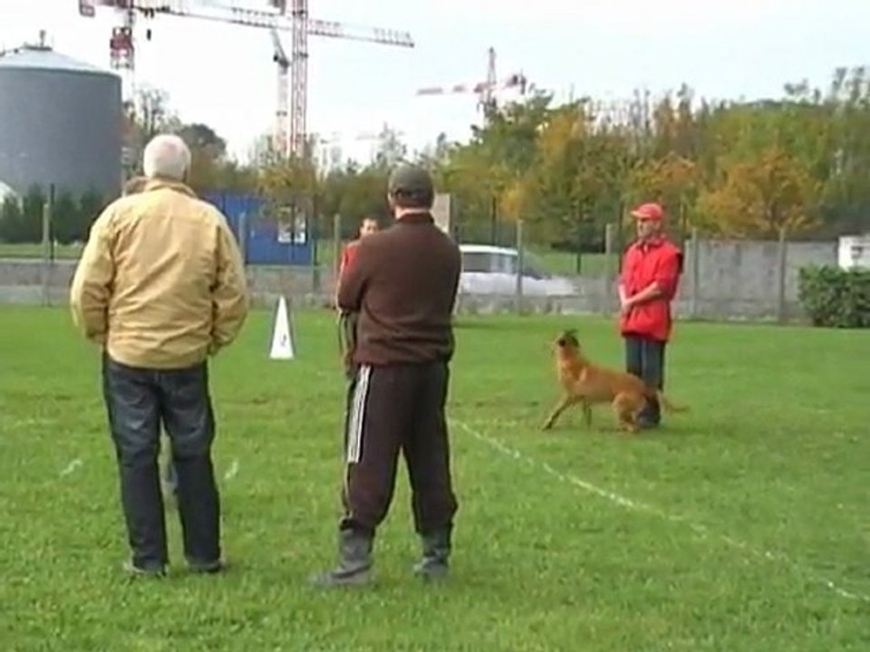 Cenachampjunior2011
