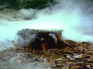 KOLAI KARAN SCENE 2.mov