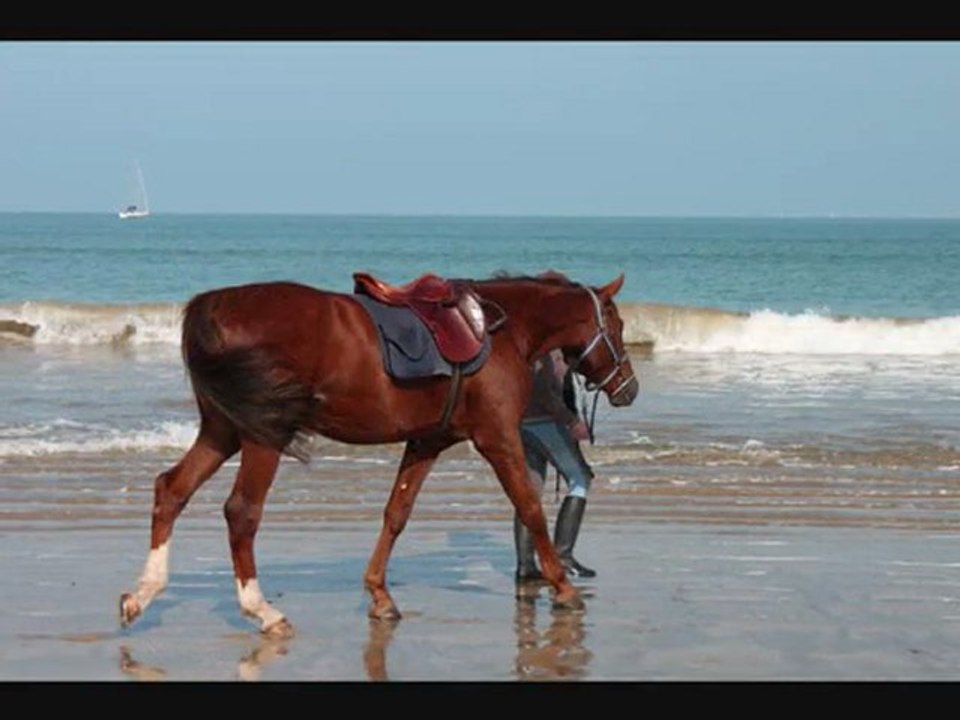 tregor oléron octobre 2011