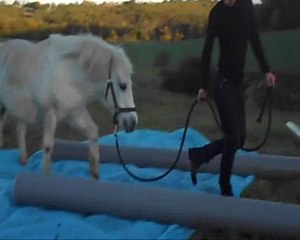 Belle et la bâche bleue !