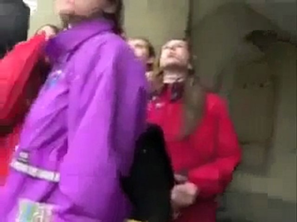 Tek Kişilik.Mükemmel eylem