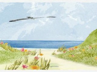 how can I get anorexic fast