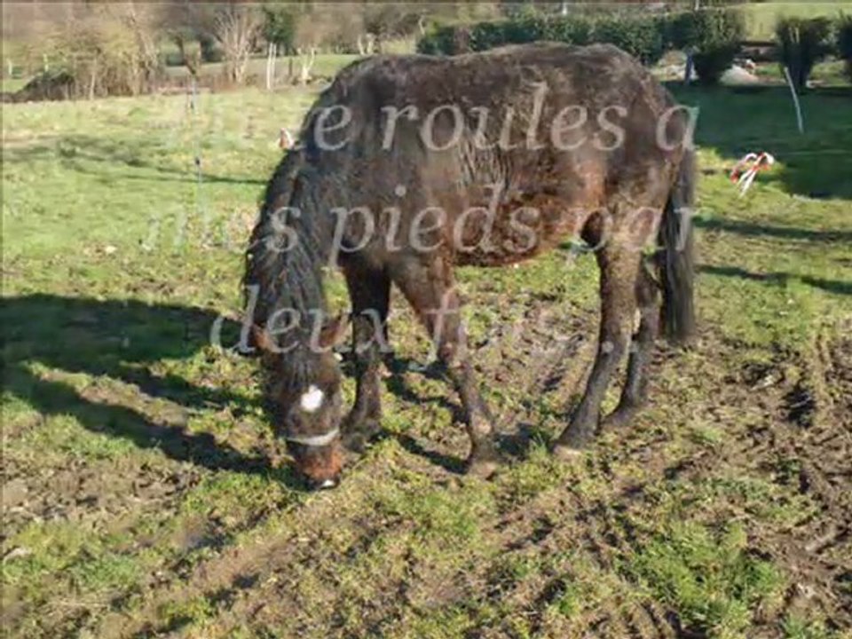 Jolie de Taraka sa petite histoire