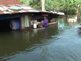 Água, crocodilos e doenças...