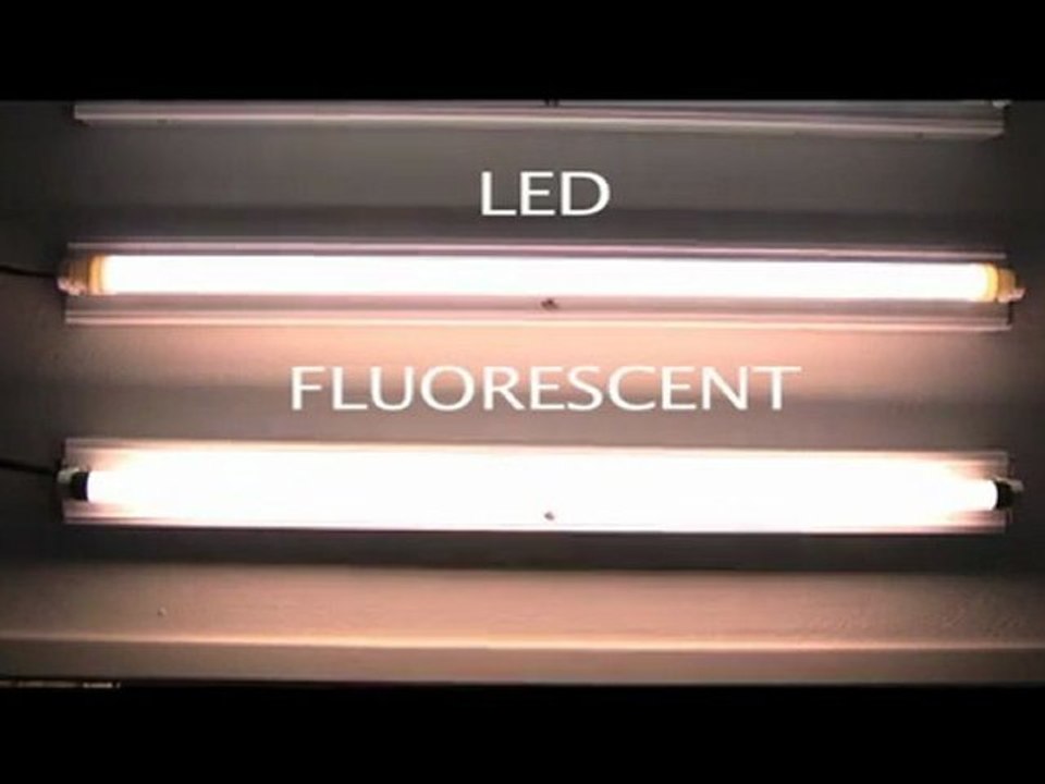 LED T8 Tube Lights - Product Video
