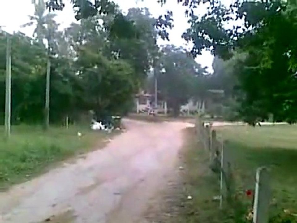 0048 prsi prsi