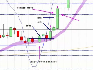 Learn Currency Trading, Live with our Team.