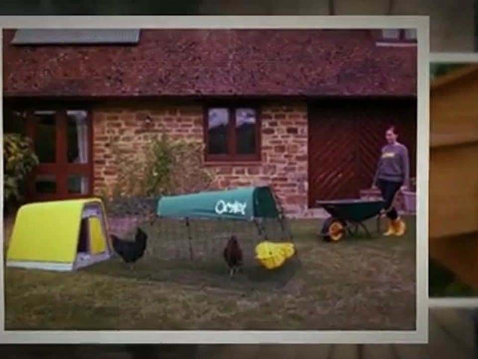 Chicken Coop 2