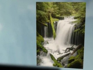 Issey Miyake perfume