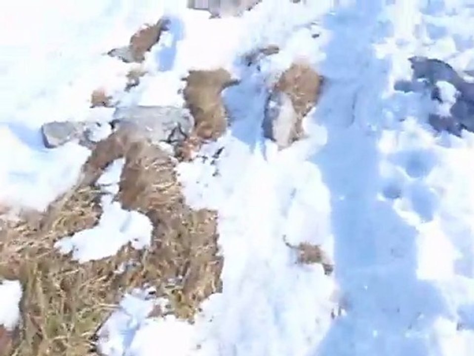 Tatry Zachodnie - Czerwone Wierchy