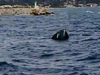 bateau dans la rade  de l'office du tourisme a 30 metre du bord un grosse vage la sumergé