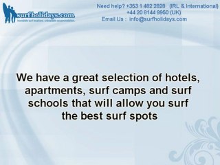 Fantastic Surf Camps You Can Visit