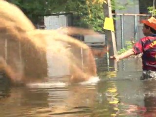 Flutopfer in Thailand: Angst vor Seuchen und Krokodilen