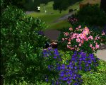 Amor 2.0 - Oitavo Episódio | The Sims 3 Machinima