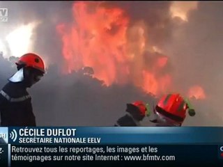 Réunion : Cécile Duflot estime "qu'on a laissé l'incendie se propager"