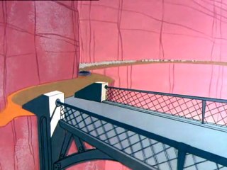 Struś Pędziwiatr - Jajecznica z kojota PL 03/50