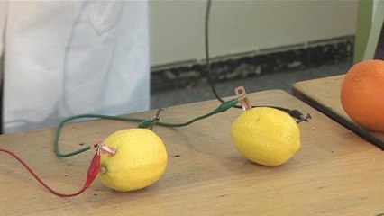 How To Use Fruit As Batteries