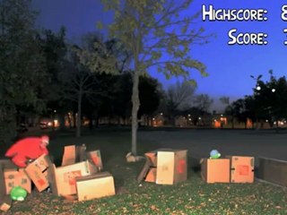 REAL LIFE ANGRY BIRDS