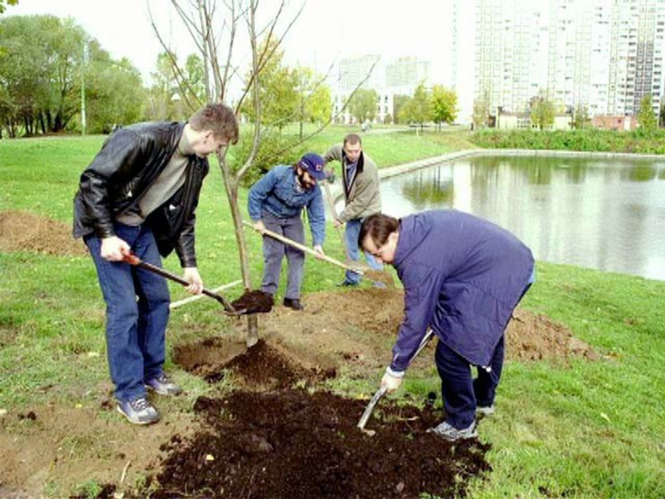 документари