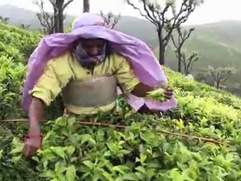 Fair Trade Provides Safe Drinking Water