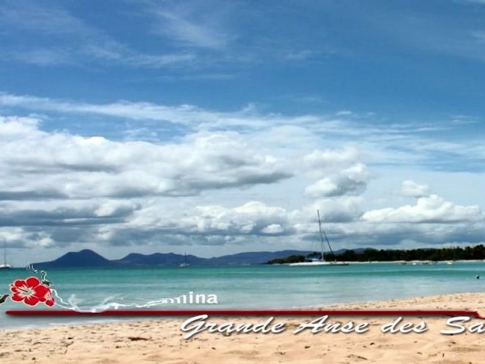 Martinique : Plage des salines