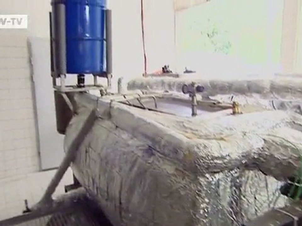 Sustainable wood instead of wood from tropical forests | Video of the day