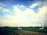 Klant: Veiling Haspengouw - Imago video