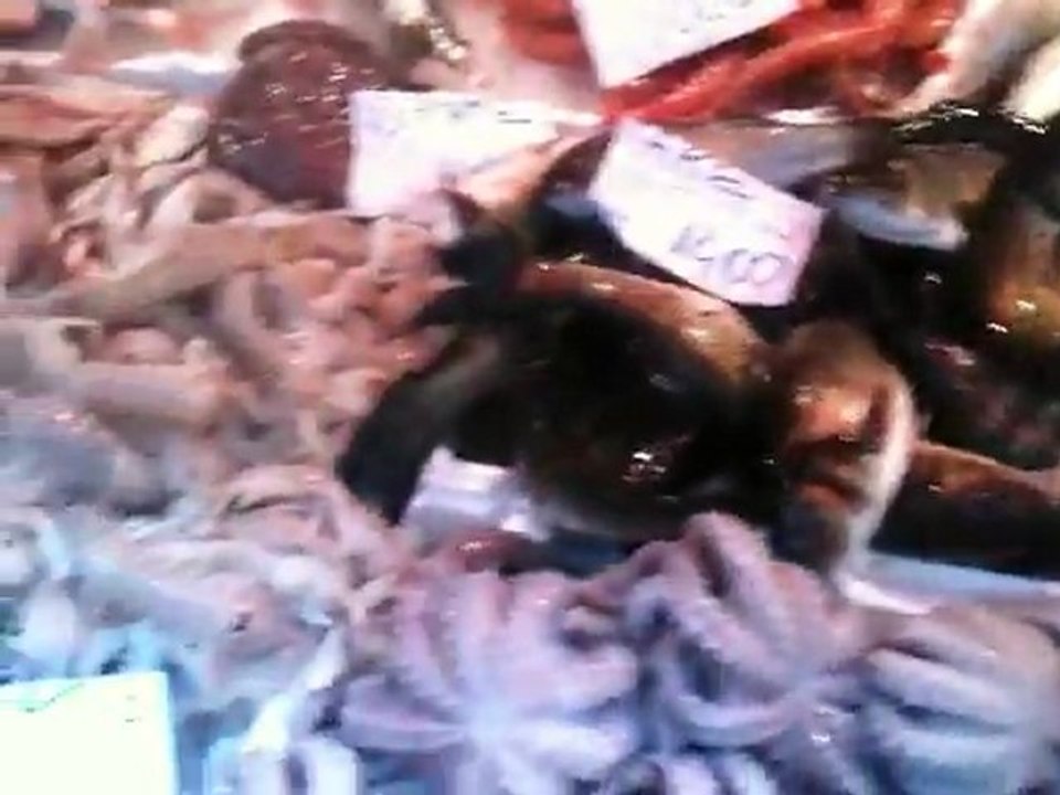 Botanik Akvaryum İtalyada Bari Yarışmasında Balık Pazarında