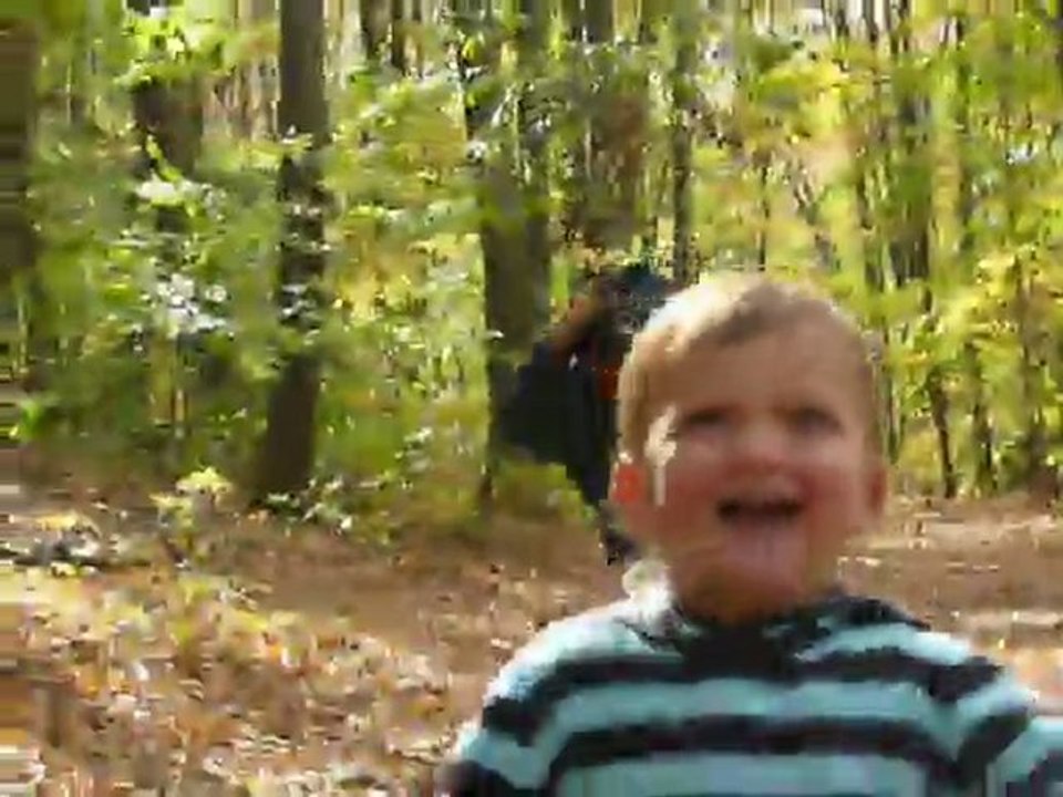 foret 2