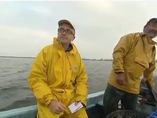 Une carte postale des Saintes Maries de la Mer pour France 3