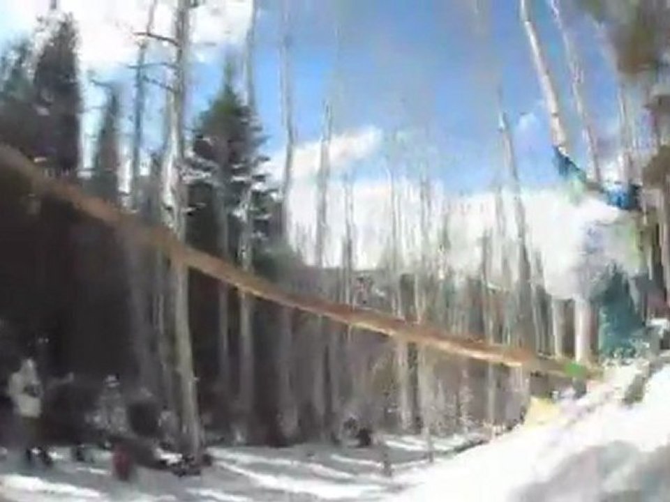 Log Masters