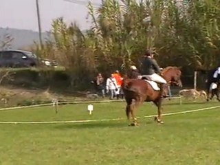 dressage club 2 cce