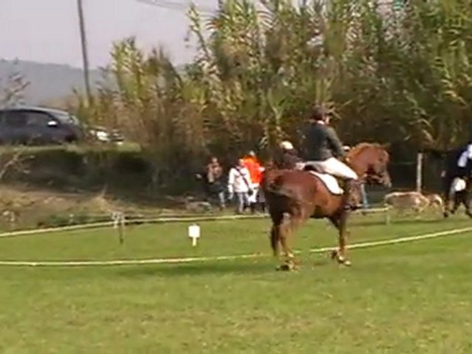 dressage club 2 cce