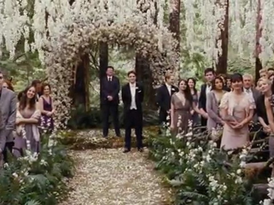 THE TWILIGHT SAGA BREAKING DAWN