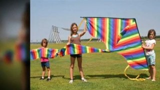 Quality stunt Kites