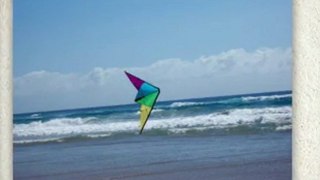 Beginning Stunt Kites