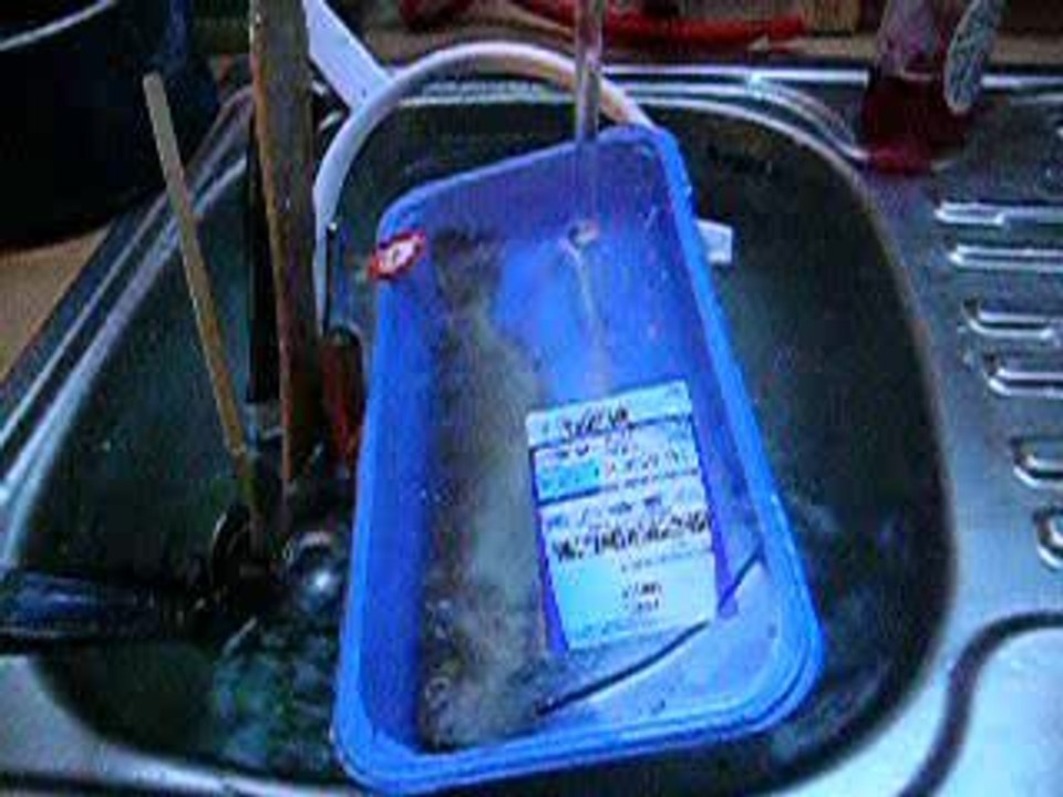 FISH PLASTIK