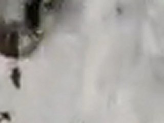 Monday Mallot Lucas D-QuickTime Web compresor