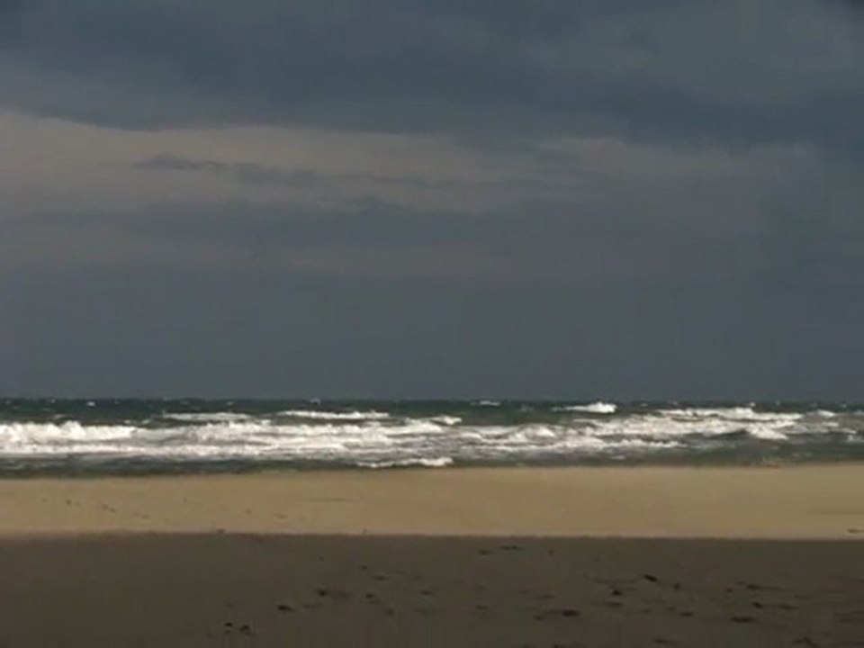 mammilou vagues