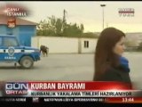 Sultangazi Belediyesi 'Kurban Yakalama Timi' Kurdu