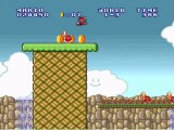 Le moment Fail: super mario bros TLL [1]